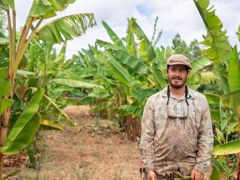 Farm visit + Interview with Gabe Sachter-Smith at Hawaii Banana Source, Haliewa