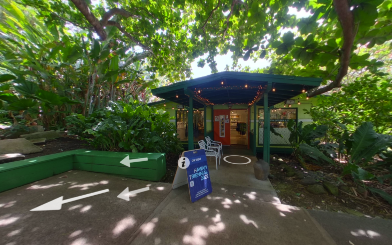 (click the image to enter) Hawai'i Triennial: Foster Botanical Garden Tour 